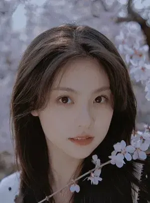 بیوگرافی Zi Lu Lin