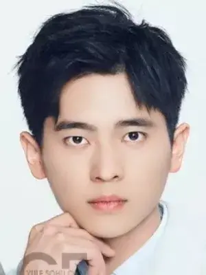 بیوگرافی Lei Cheng