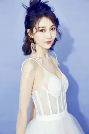 بیوگرافی Gao Lin