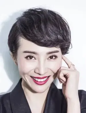 بیوگرافی Zheng Li