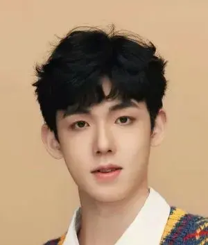 بیوگرافی Yi Zhou Wang