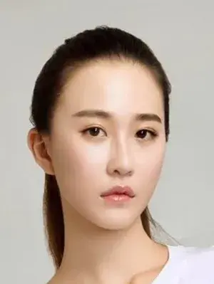 بیوگرافی Qi Feng