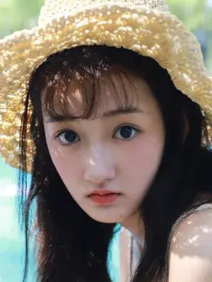 بیوگرافی Xin Lei Liu