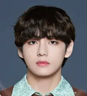 بیوگرافی Tae Hyung Kim