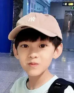 بیوگرافی Lin Yu Gao