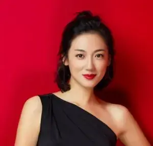 بیوگرافی Wei Wang